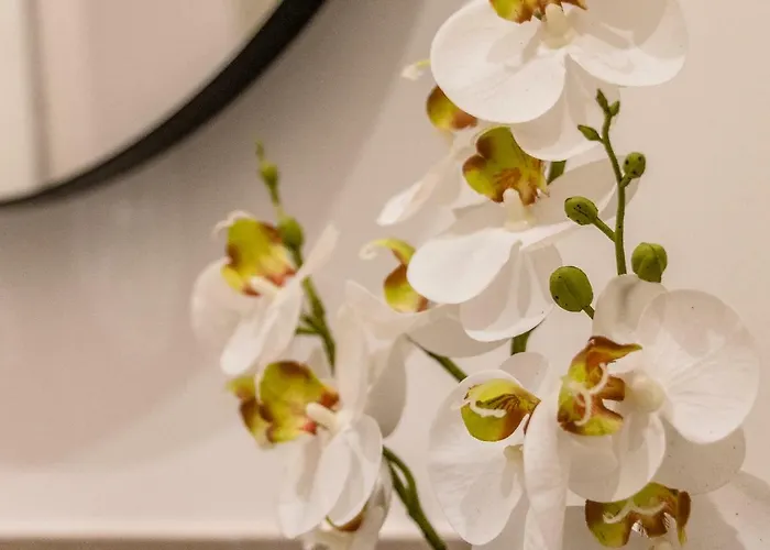 Pregiata Con Bagno Privato - Blu Di Prussia